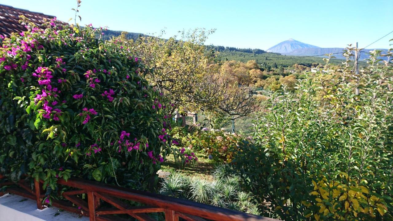 El Pajar De Ines Guest House ลาโอโรตาวา ภายนอก รูปภาพ