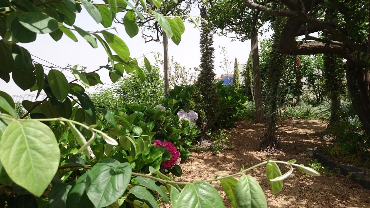 El Pajar De Ines Guest House ลาโอโรตาวา ภายนอก รูปภาพ