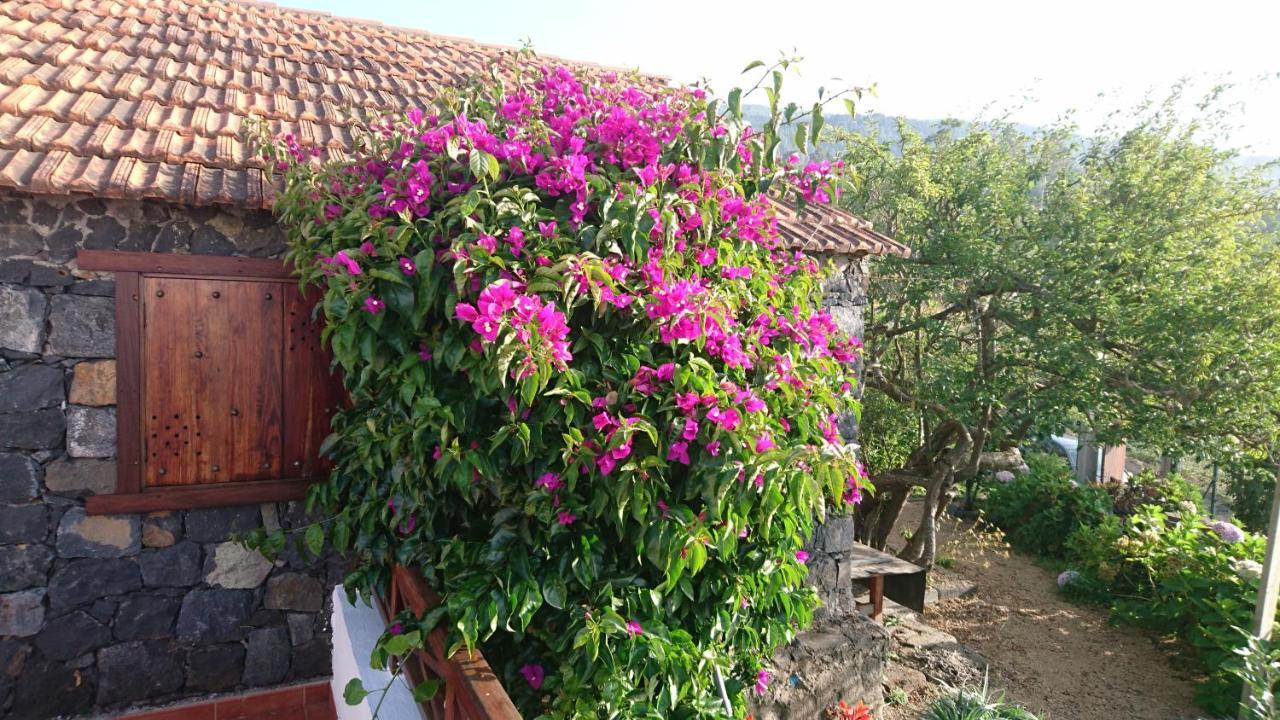 El Pajar De Ines Guest House ลาโอโรตาวา ภายนอก รูปภาพ